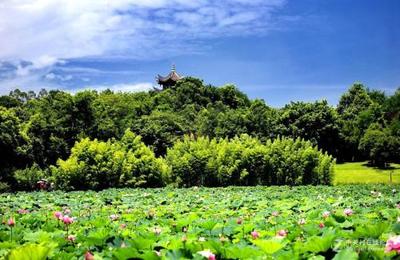 廣東2023年汽修學(xué)校熱門專業(yè)與連鎖店發(fā)展機遇